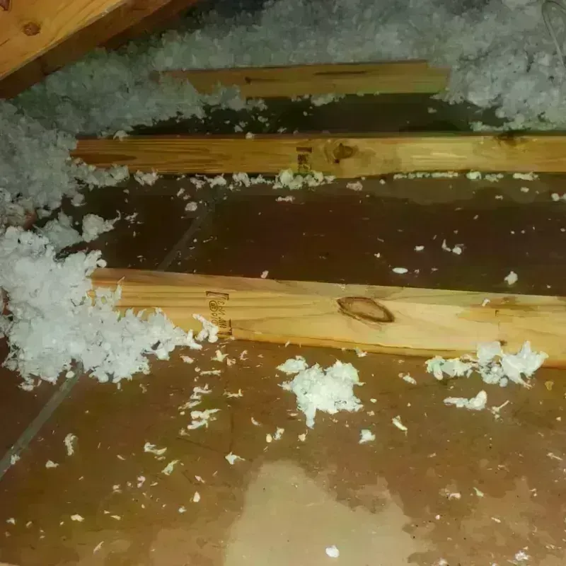 Attic Water Damage in Greenup County, KY